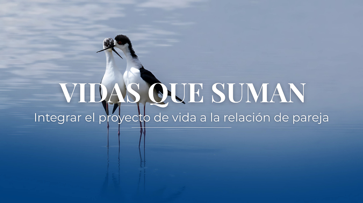 Workshop - Vidas que Suman